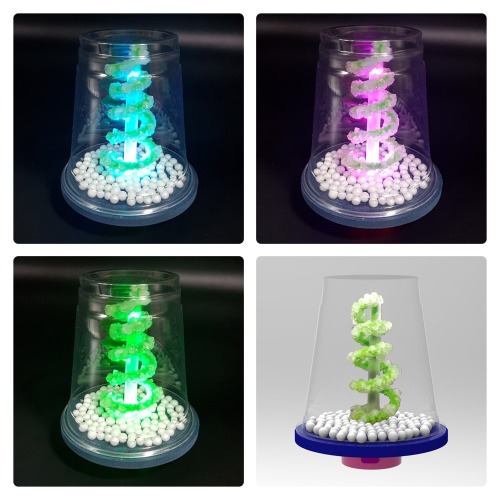뉴 LED 눈꽃 결정 나무 만들기 (2인용)