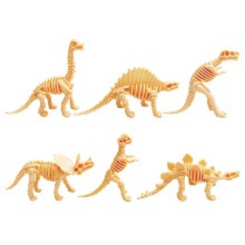 귀여운 미니 공룡뼈  6종 세트